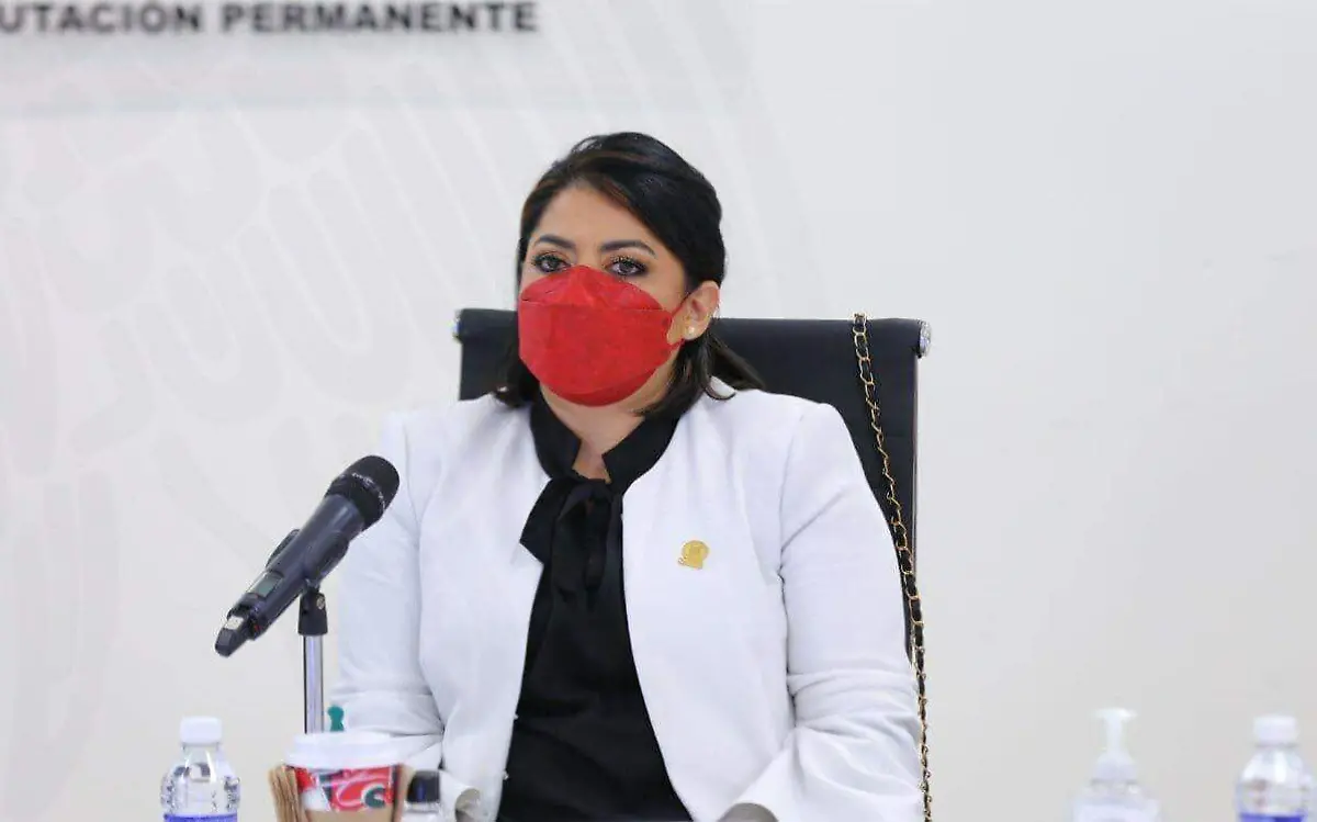 La diputada Úrsula Patricia Salazar enfrenta un proceso de desafuero Congreso del Estado de Tamaulipas